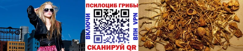 MEGA зеркало Татарск Галлюциногенные грибы прущие грибы