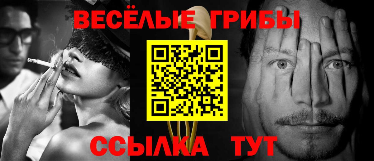 Галлюциногенные грибы Psilocybe  Вход с VPN  Татарск 