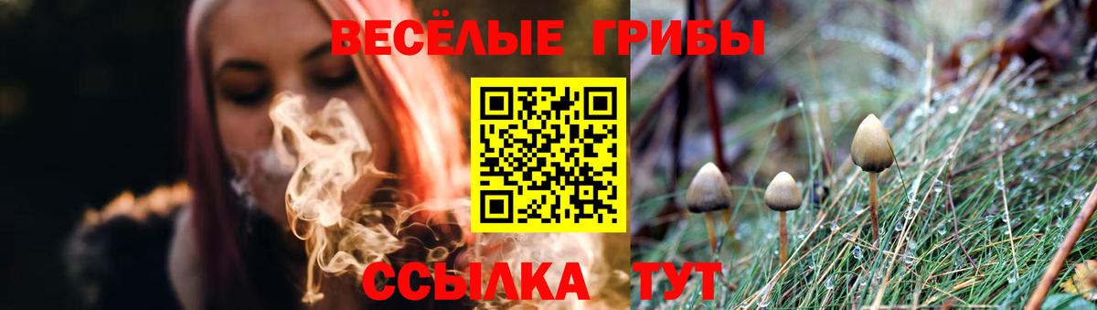 Галлюциногенные грибы Psilocybe Татарск